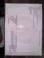 Đất chính chủ - thổ cư 100% - 3 mặt tiền tại lục viên, xã mỹ hạnh bắc, huyện