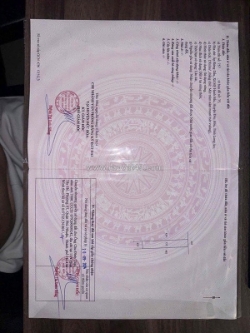 Đất chính chủ - thổ cư 100% - 3 mặt tiền tại lục viên, xã mỹ hạnh bắc, huyện