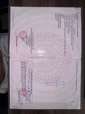 Đất chính chủ - thổ cư 100% - 3 mặt tiền tại lục viên, xã mỹ hạnh bắc, huyện