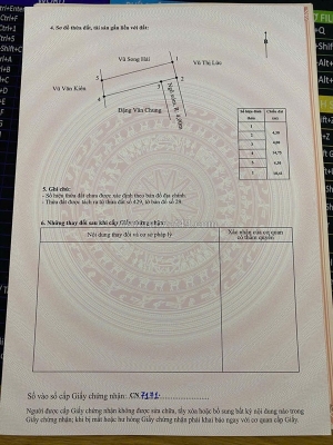 Đất cốc liễn – minh tân – kiến thụy  80m²  ngõ 4m nhựa  giá 8xx triệu – hàng