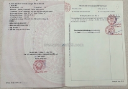 Đất đẹp – giá đầu tư - cần bán 2 lô đất liền kề tại phường 5, thành phố tân an,