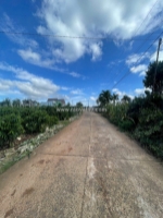 Đất đẹp – giá đầu tư - cần bán lô đất tại xã tân hội huyện đức trọng, tỉnh lâm