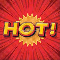 Đất đẹp – giá đầu tư - cần bán lô góc 2 mặt tiền  tại  phú sơn, tp.thanh hóa ,