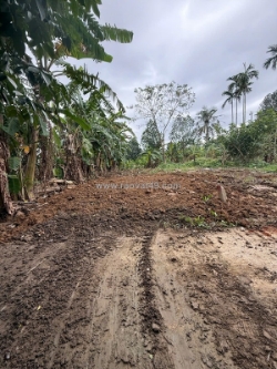 Đất đẹp- giá tốt - cần bán lô đấttại thôn mỹ an, xã đại quang, đại lộc, quảng