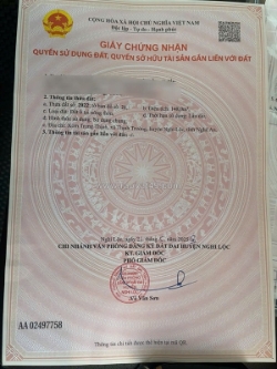 Đất đẹp – giá tốt – chính chủ cần bán tại xóm trung thịnh, thịnh trường, nghi