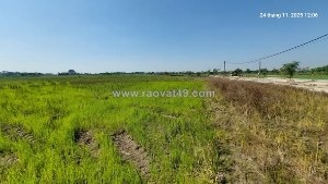 Đất ruộng.1500m2, mt40m, 310 tr/ sào.