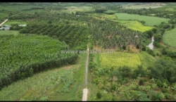 Đầu tư sinh lời - chính chủ cần bán lô đất tại ninh tân, ninh hòa, khánh hòa