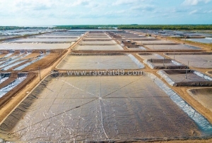 Địa chỉ chuyên cung cấp bạt hdpe, màng hdpe uy tín chất lượng