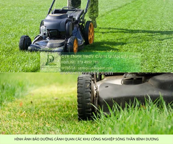 ~/Img/2025/12/dich-vu-bao-tri-canh-quan-tai-dong-nai-078-4992-789-01.jpg