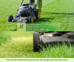 Dịch vụ bảo trì cảnh quan tại đồng nai 078 4992 789