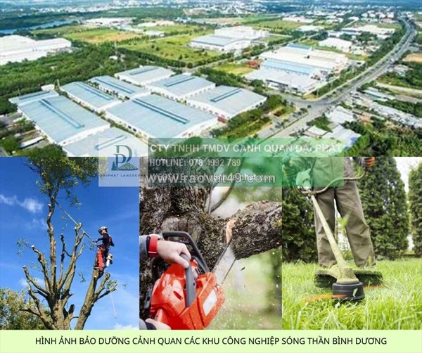 ~/Img/2025/12/dich-vu-bao-tri-canh-quan-tai-dong-nai-078-4992-789-02.jpg