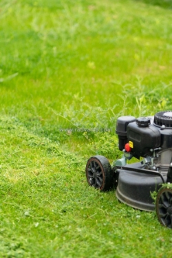 Dịch vụ cắt cỏ dọn dẹp vệ sinh cảnh quan kcn amata đồng nai