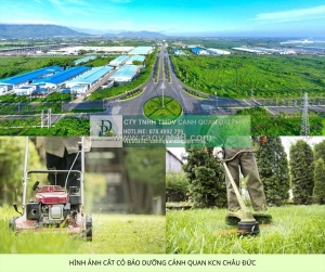 Dịch vụ cắt cỏ kcn châu đức bà rịa vũng tàu