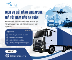 Dịch vụ gửi hàng singapore giá tốt – giải pháp vận chuyển nhanh chóng và tiết kiệm