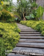 Đơn vị thi công sân vườn uy tín, chuyên nghiệp