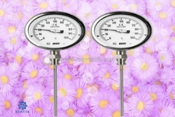 Đồng hồ nhiệt độ wise t120 – giải pháp đo nhiệt bền bỉ cho lò hơi & hvac | dantek