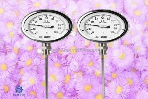 Đồng hồ nhiệt độ wise t120 – giải pháp đo nhiệt bền bỉ cho lò hơi & hvac | dantek