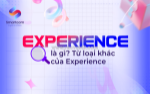 Experience di voi gioi tu gi