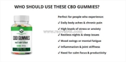 Forest mountain farms cbd gummies: ingredients, benefits, and side effects!