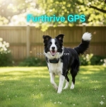 Furthrive gps tracker – no fences, no wi-fi, just pet safety