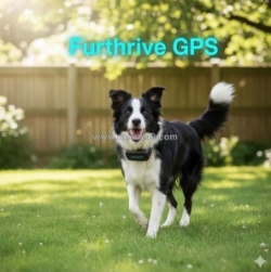 Furthrive gps tracker – no fences, no wi-fi, just pet safety