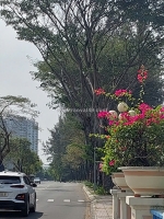 Giá mới 24 tỷ mặt tiền kinh doanh vipliên phường q9 5 x 20