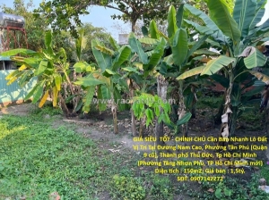 Giá siêu  tốt - chính chủ cần bán nhanh lô đất  vị trí tại thủ đức, thành phố