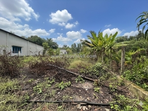 H1740 💥 đất nhị bình 15 hóc môn, shr, vuông, hxt, 13.2x82m, 14.x tỷ