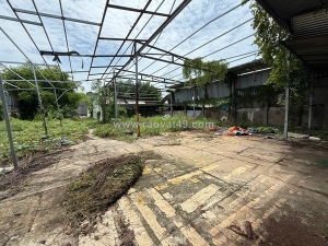 Hàng hiếm tân xuân – đất đẹp khổng lồ (20x60) – giá chốt 15 tỷ