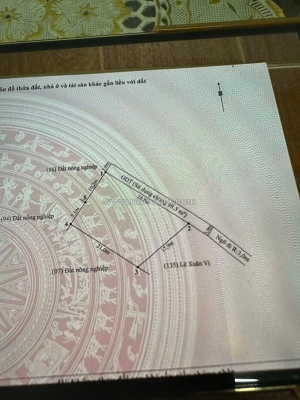 Hàng khủng hòa nghĩa dương kinh – 800m² nhà vườn – giá 7.x tỷ – đầu tư dài hạn