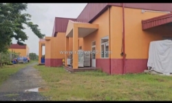 Hàng thơm – siêu deal! bán 7.000m² đất tặng xưởng mới đẹp giá chỉ 35 tỷ tl!