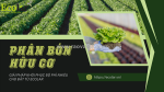 Hiểu đúng về phân bón hữu cơ: giải pháp khôi phục độ phì nhiêu cho đất từ ecolar