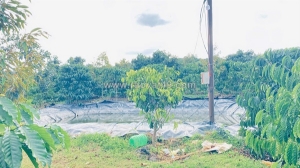 Hơn 9 sào sổ sẵn 8,5 sào, full cafe thuộc ninh gia, lâm đồng