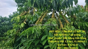 Hot hot - cần bán lô đất tại  đất tại thôn 7 xã quảng khê .huyện  đăk glong đăk