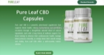Is it worth to use pure leaf cbd capsules?