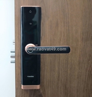 Khóa cửa vân tay - giúp tăng cường an toàn, mang đến nhiều tiện ích