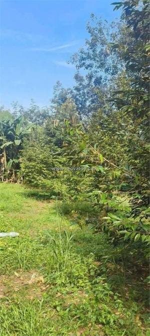 Lô đất đẹp- giá tốt chính chủ cần bán nhanh lô đất tiềm năng tại huyện lộc ninh