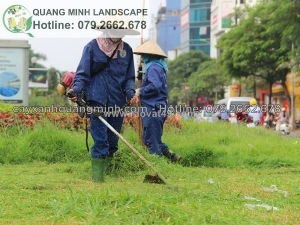 Lợi ích của việc sử dụng dịch vụ cắt cỏ