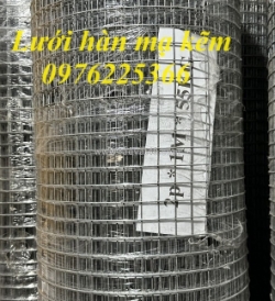 Lưới thép mạ kẽm ô vuông 25x25