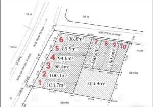 Mặt tiền xuân thới sơn 16, hóc môn  giá rẻ bất ngờ – nhiều lô đẹp chọn thoải