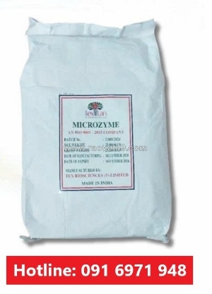 Mua enzyme cho tôm ăn, cắt tảo ao hồ microzyme