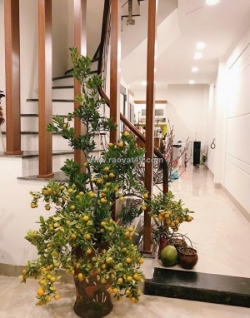 Nhà phố lạc long quân 45m 5t 11,6 tỷ gần đường ô tô- gần hồ tây-vị trí đẹp