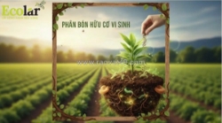 Phân bón hữu cơ vi sinh: giải pháp nuôi đất – dưỡng cây tự nhiên