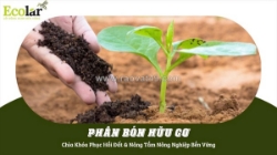 Phân bón hữu cơ – yếu tố then chốt nâng cao chất lượng đất canh tác