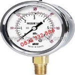 Phân phối đồng hồ áp suất wise p254 dantek uy tín tại cần thơ