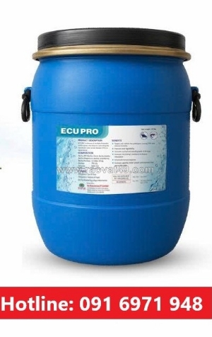 Phòng bệnh tpd mờ c ngan hiệu quả trên tôm nhờ ecupro