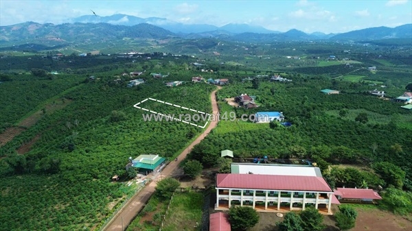 ~/Img/2025/12/phuc-tholam-ha-dt-1000m2-san-100m2-tho-cu-dat-mat-tien-be-tong-kdc-dong-view-01.jpg
