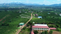 Phúc thọ-lâm hà dt 1000m2 sẵn 100m2 thổ cư đất mặt tiền bê tông kdc đông view