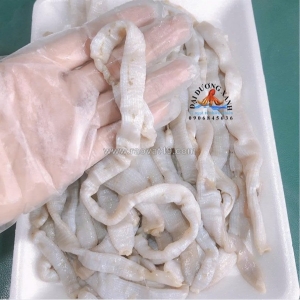 Sá sùng: đặc sản đắt giá của biển việt và lý do khiến ai cũng săn lùng