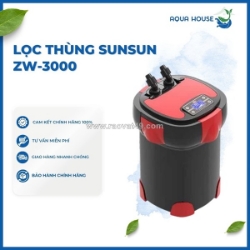 Sai lầm khi dùng lọc thùng khiến hồ cá bốc mùi nhanh